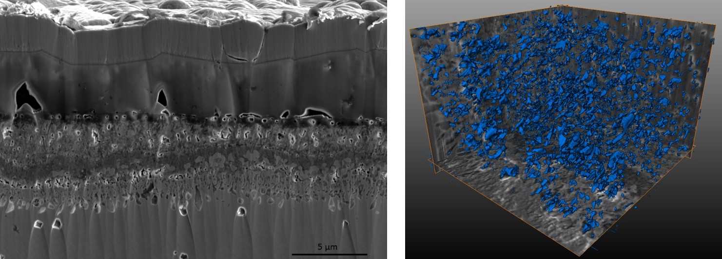 3D characterization of oxide layers in Co-base superalloys, with FIB slice-and-view method