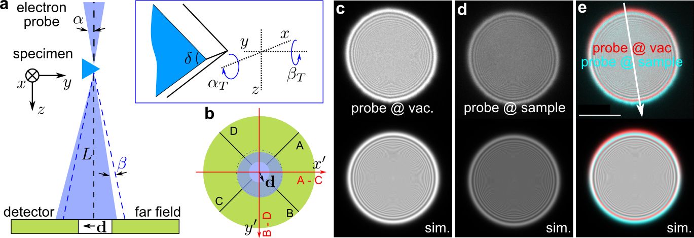 Electron beam deflection by the electrostatic potential of a wedge crystal and subtle beam-specimen interaction