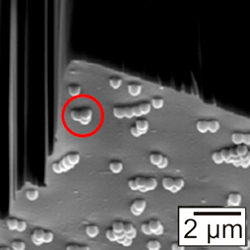 SEM image of particles during shadow-FIB preparation