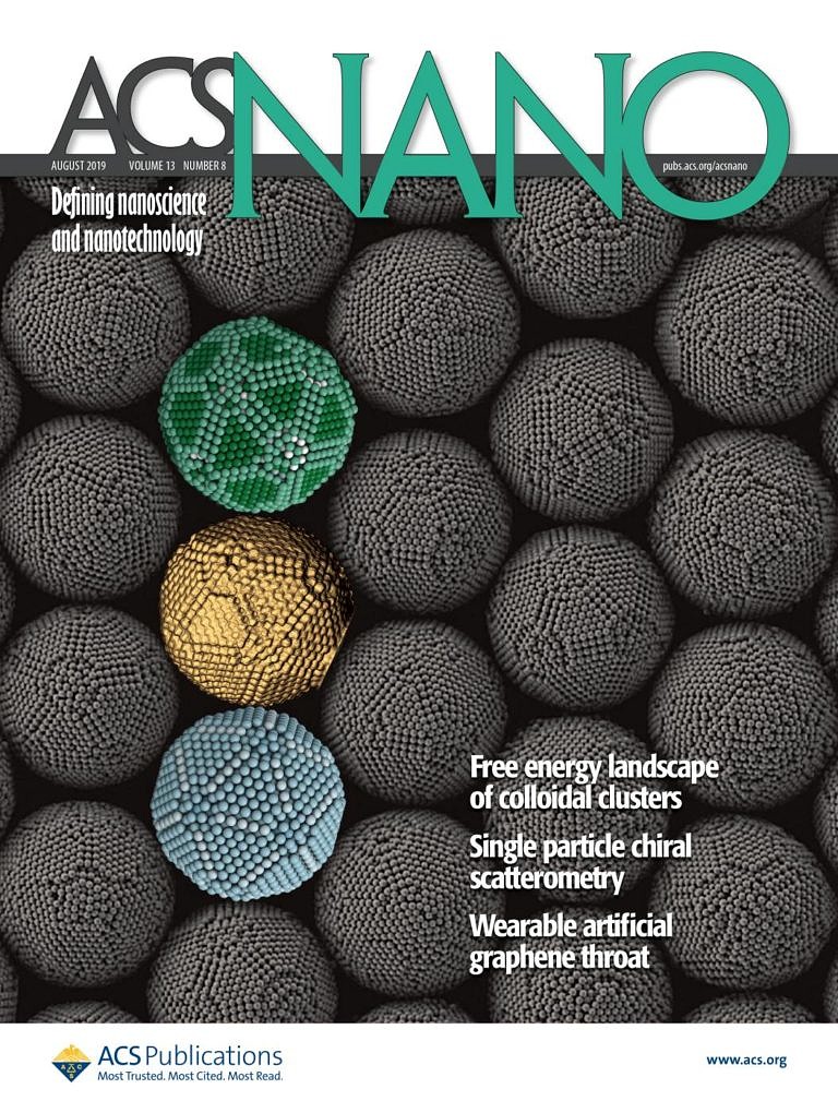 VR-assisted segmentation of tomography elaborated defects in self-assembled colloidal clusters