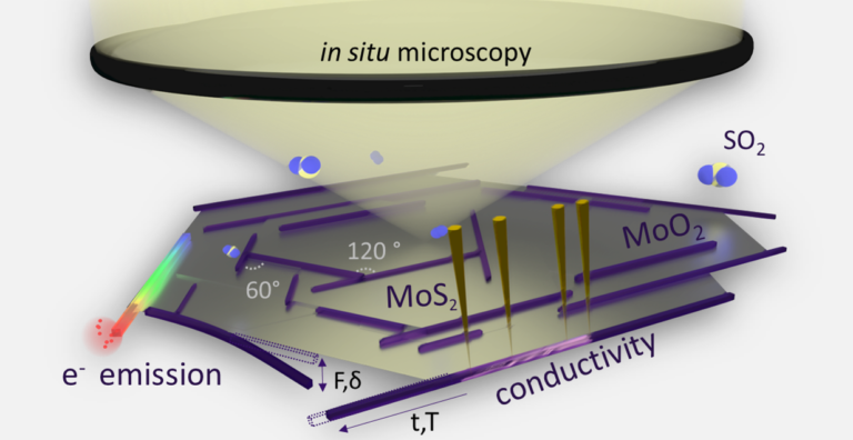 In situ microscopy – a key to unravel growth and functional properties of nanowires