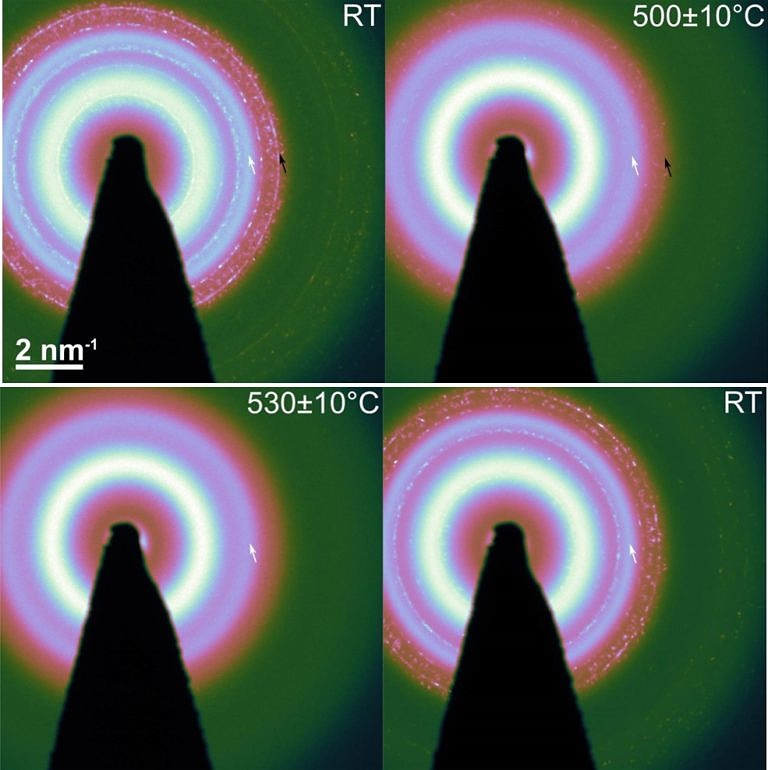 in situ TEM contributes to microscopic understanding of SCALMS catalysts