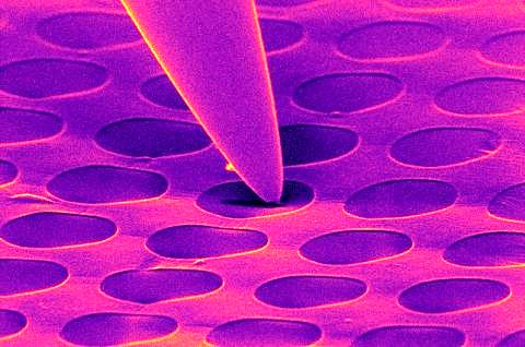 Small metal tip used for cleaning of surfaces on the nanoscale. (CENEM, FAU Erlangen-Nürnberg)
