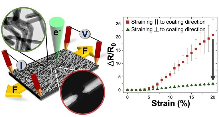 Microscopy provides novel insights into the mechanical and electrical failure of flexible silver nanowire electrodes