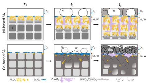 Towards entry "Novel model describing high-temperature oxidation behavior of SX Ni- and Co-base Superalloys"