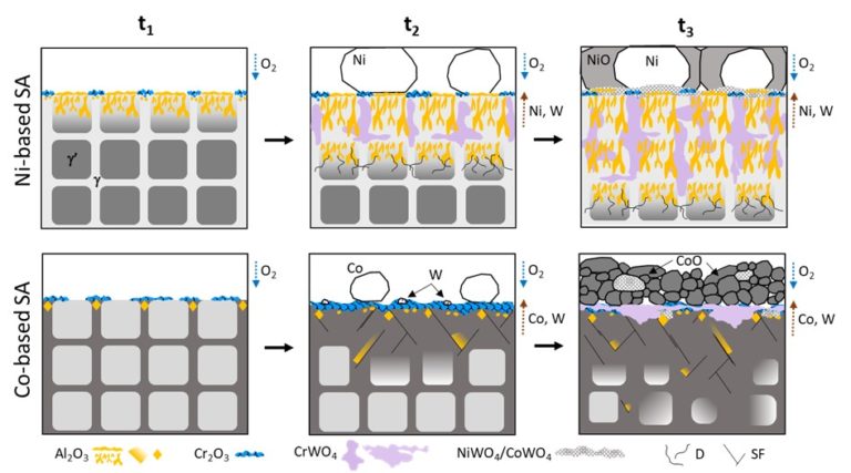 Novel model describing high-temperature oxidation behavior of SX Ni- and Co-base Superalloys