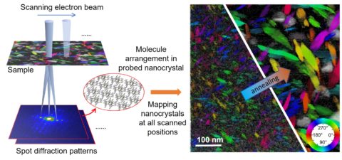 Observing molecular nano-crystallites structural evolution in bulk heterojunction thin films