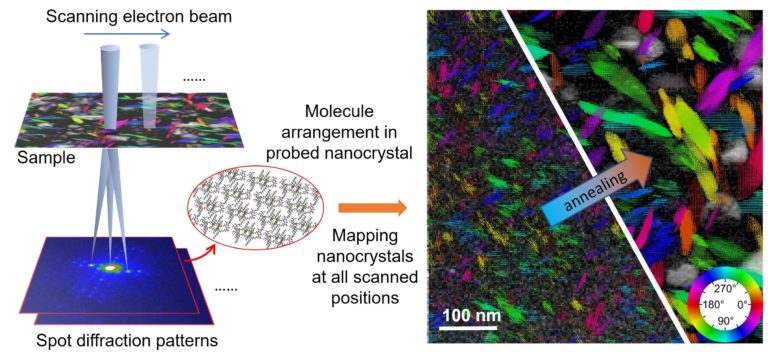 Growth of organic nanocrystals revealed