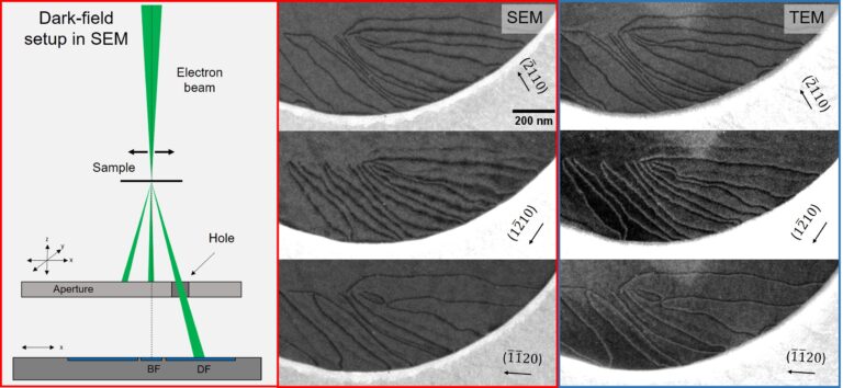 Correlative microscopy qualifies scanning electron microscopy for defect analysis in 2D materials