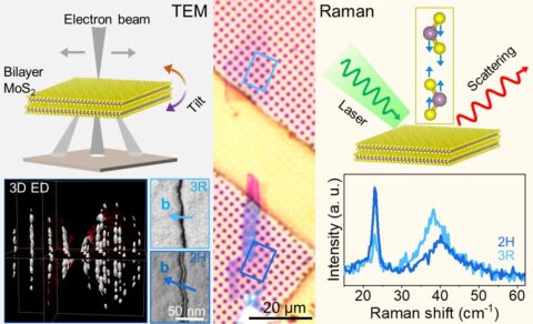 Towards entry "Correlative TEM-Raman study exposes unexpected stacking phases and dislocations in bilayer MoS₂"
