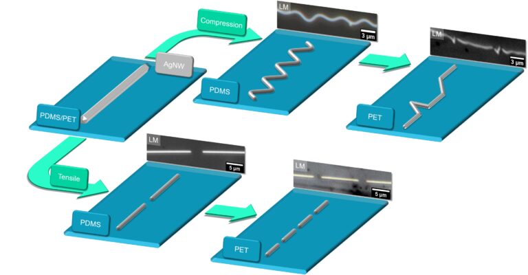 New Insights into the Mechanical Resilience of Silver Nanowires for Flexible Electronics