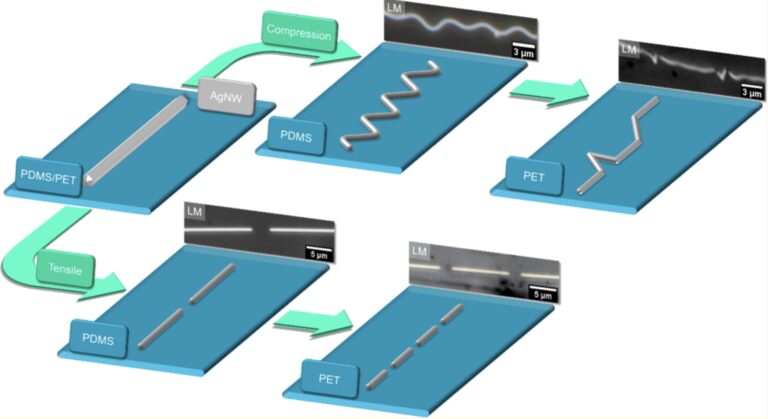 New Insights into the Mechanical Resilience of Silver Nanowires for Flexible Electronics