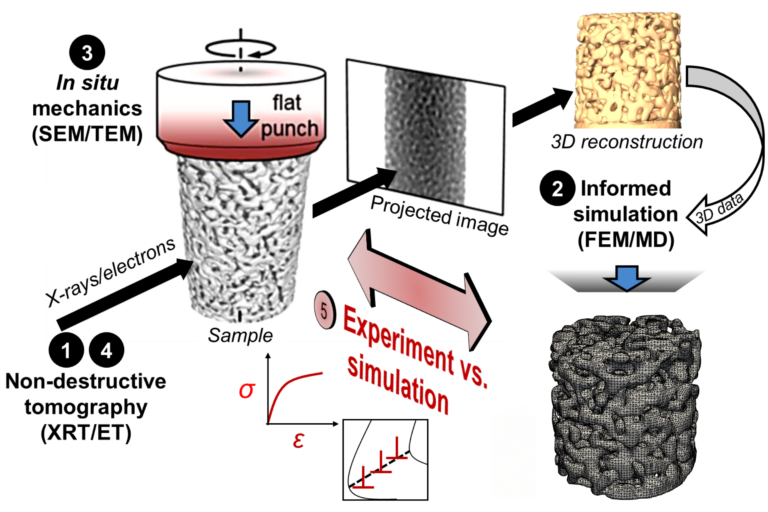 New insights into nanoscale plasticity of metallic nanosponges by correlative and scale-bridging microscopy and modeling