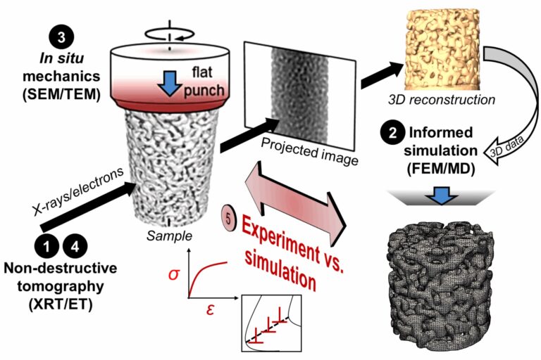 New insights into nanoscale plasticity of metallic nanosponges by correlative and scale-bridging microscopy and modeling